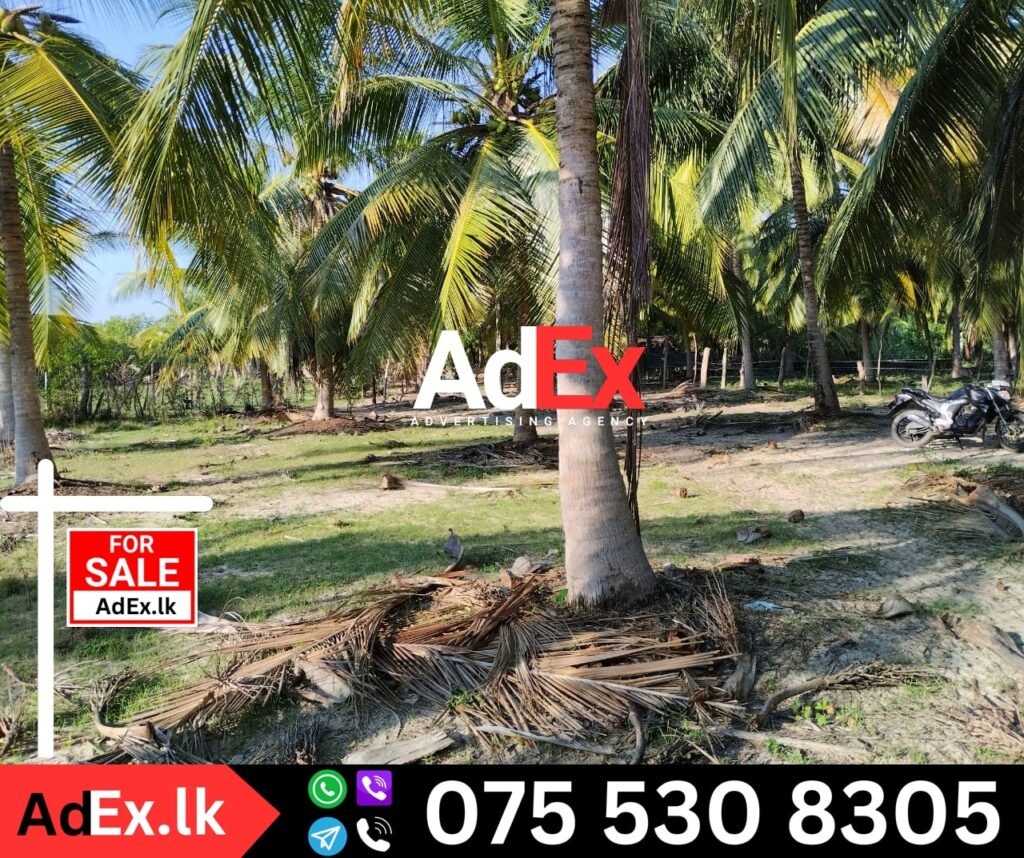 Farm Land for Sale in Ampara