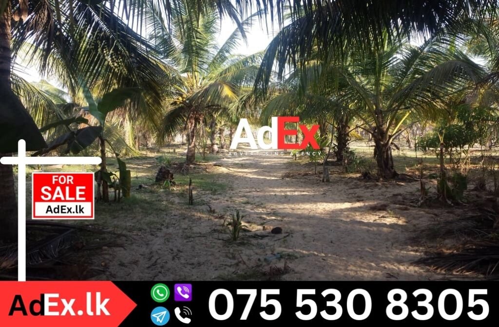 Farm Land for Sale in Batticaloa