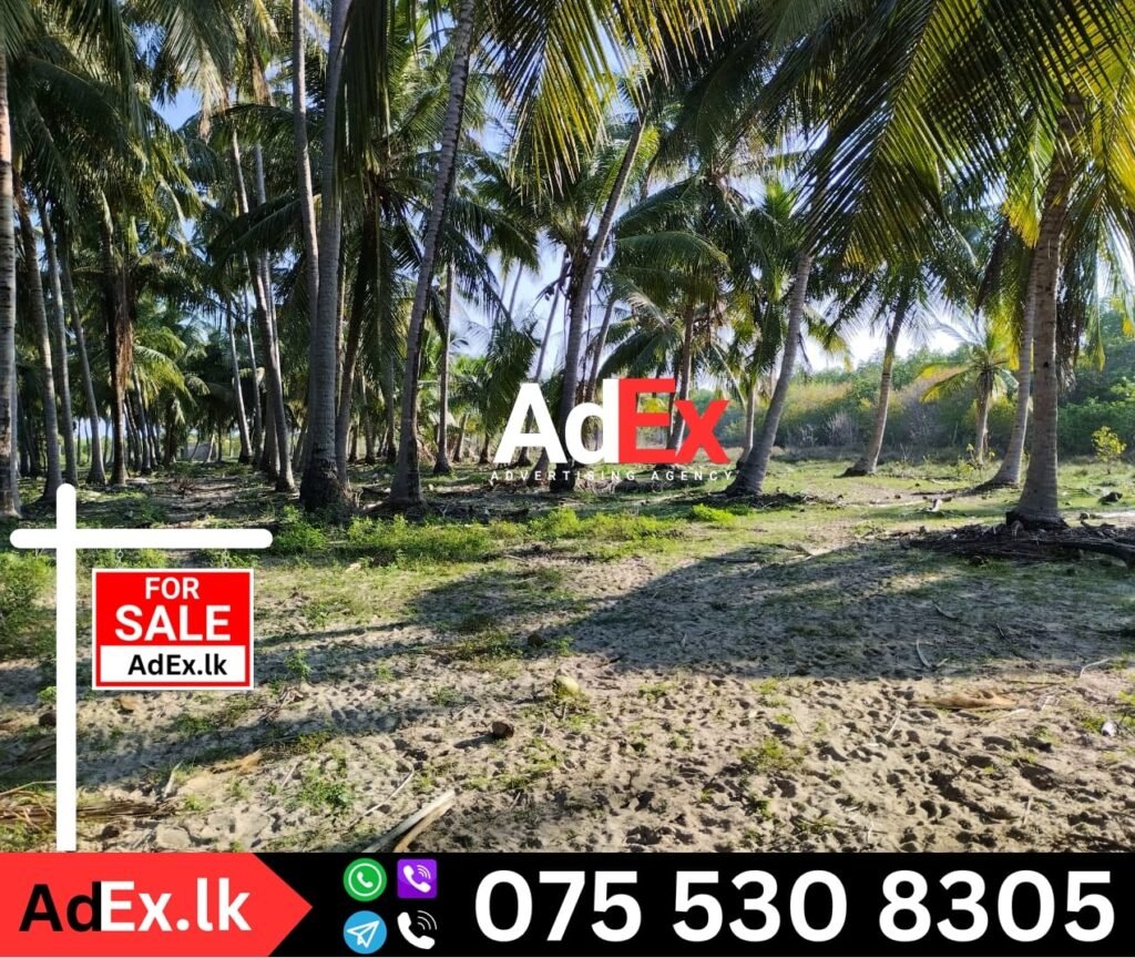 Farm Land for Sale in Sri Lanka