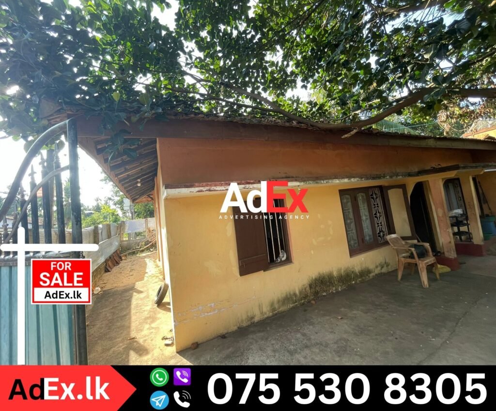 House Sale Palameenmadu