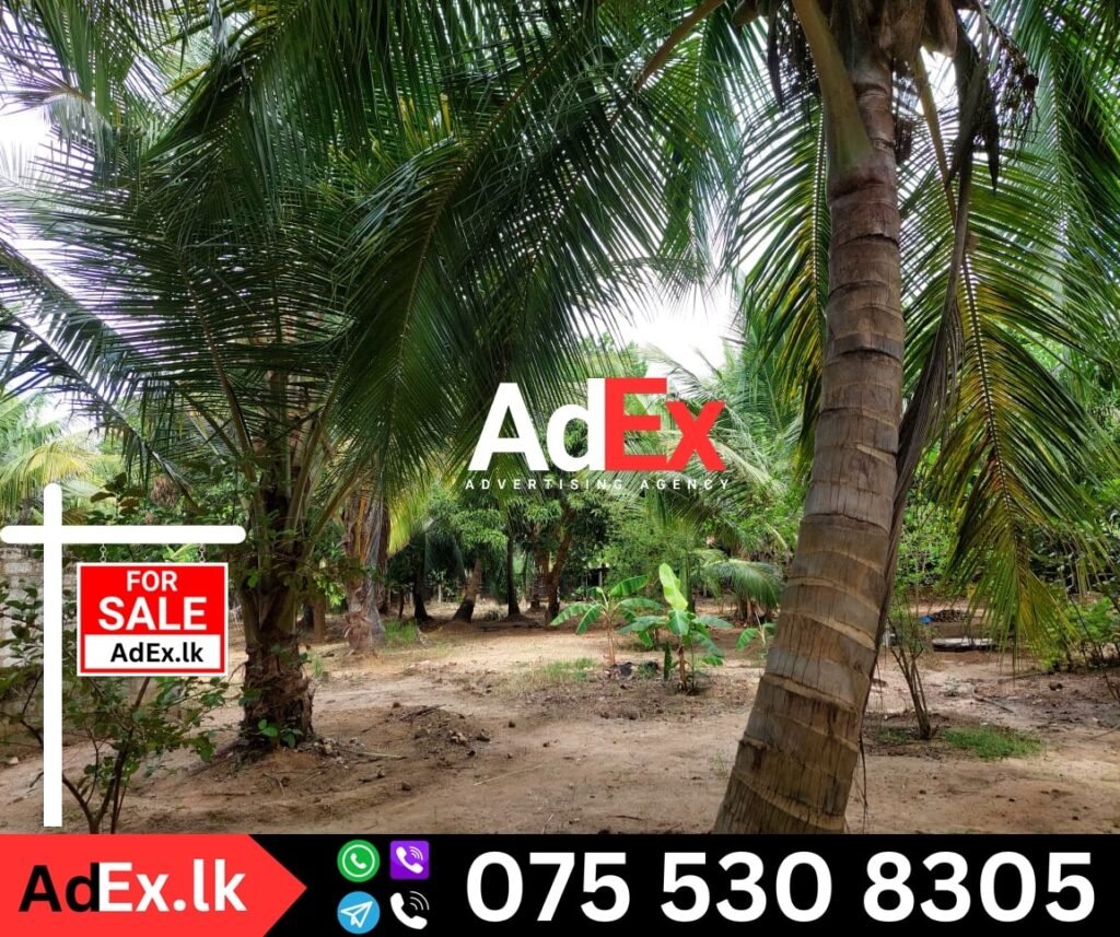 Irakkamam Ampara Land for Sale