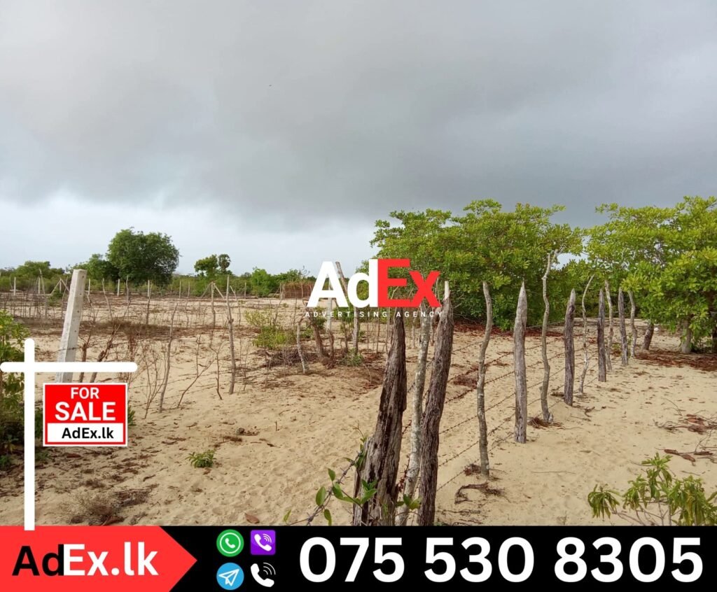 Koralankeni Land Sale