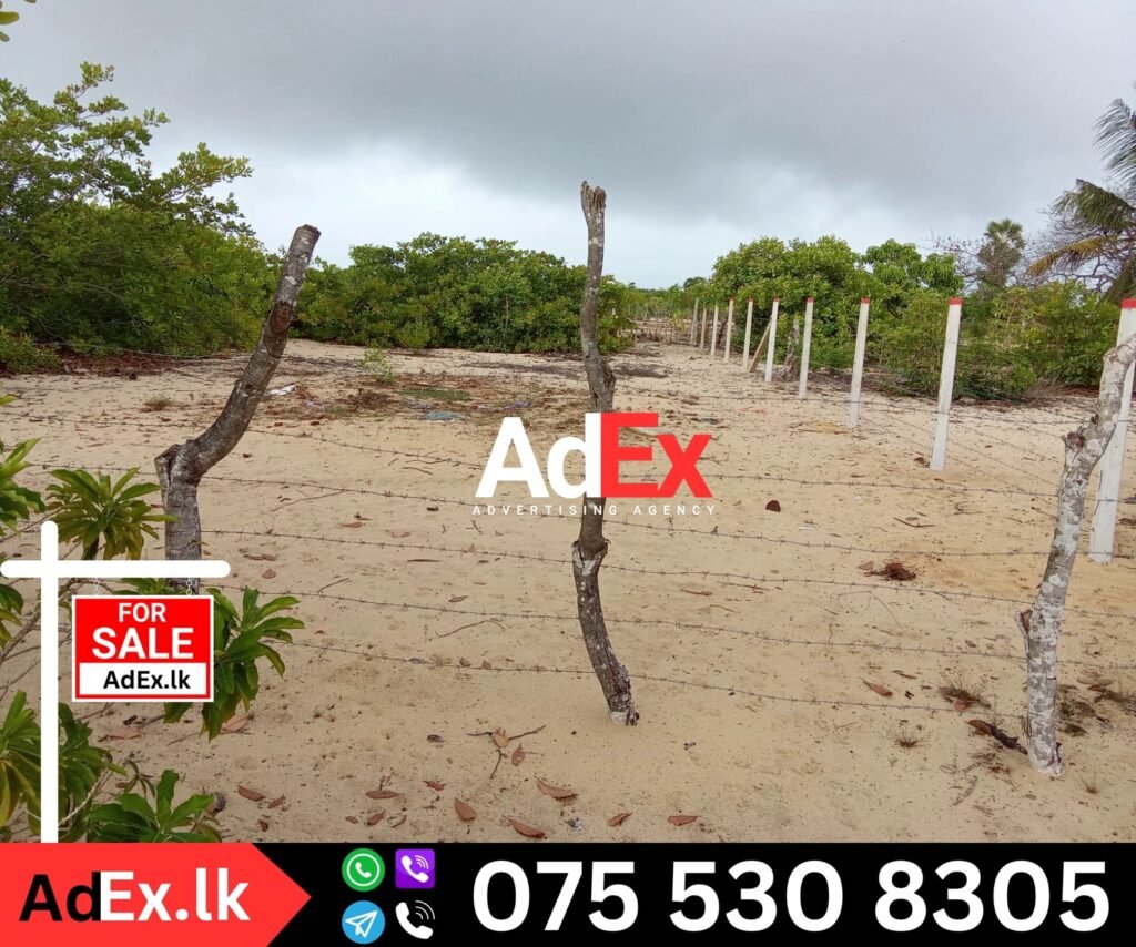 Land Sale Koralankeni