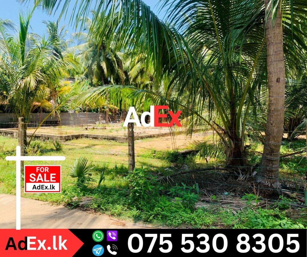 Land Sale in Amirthakali Batticaloa