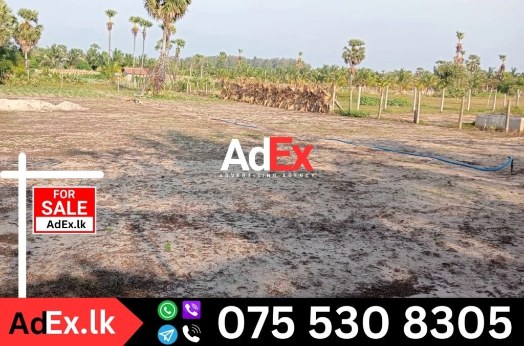 Land Sale in Kaluwanchikudi