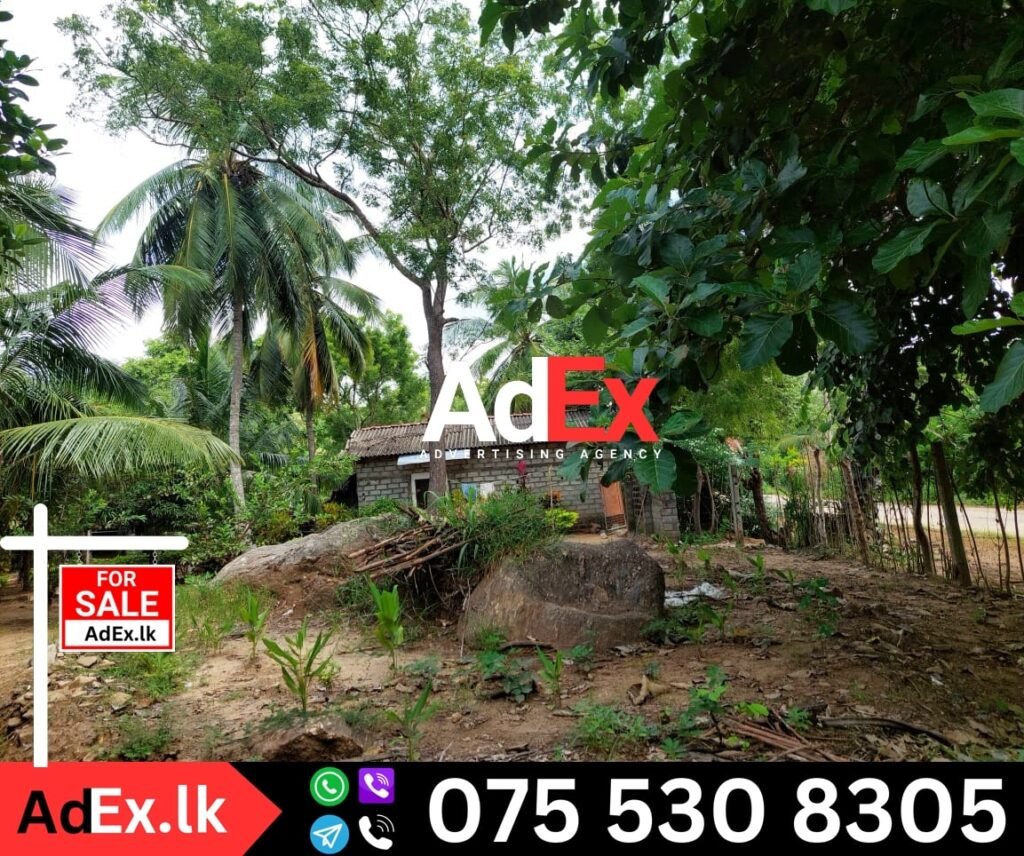 Land for Sale Ampara