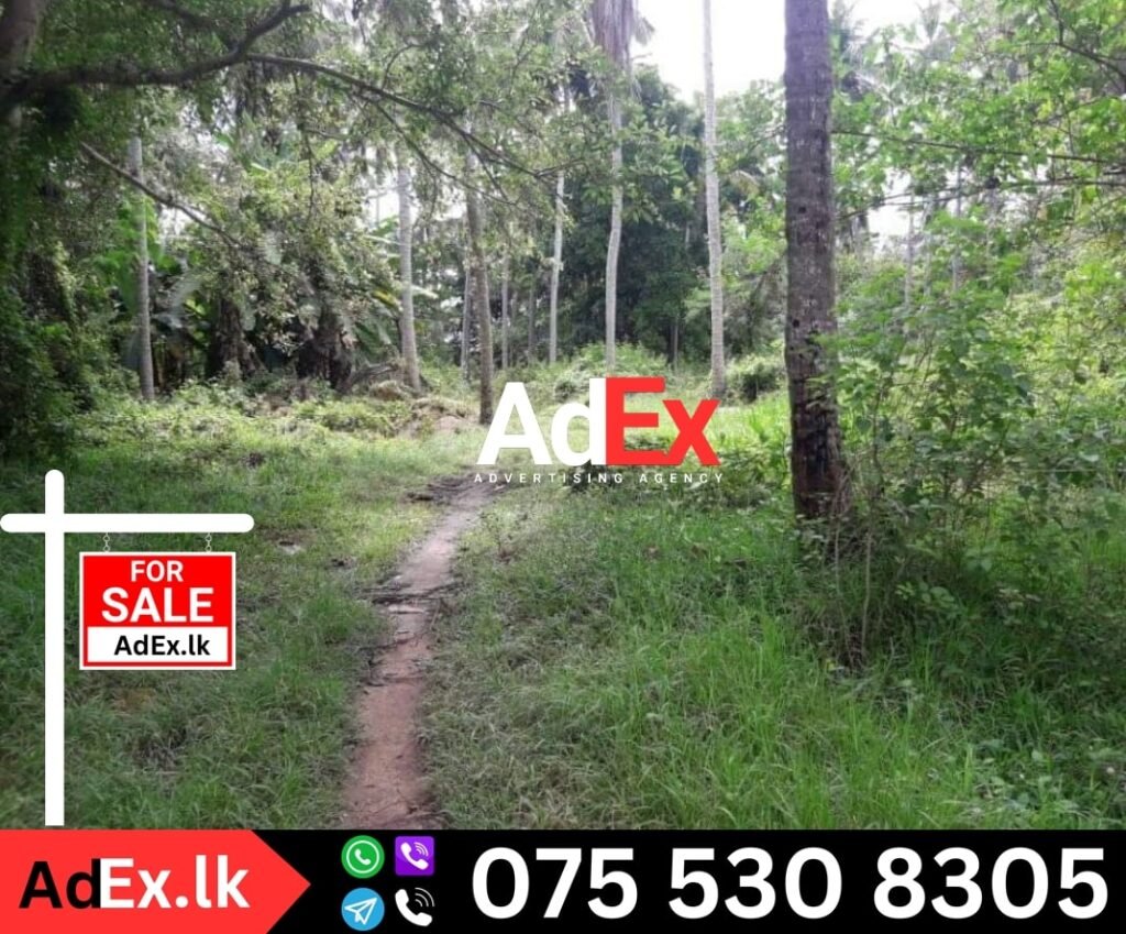 Land for Sale Anuradhapura
