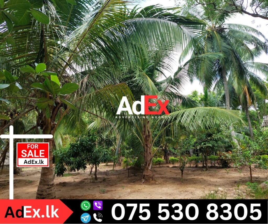 Land for Sale in Irakkamam Ampara