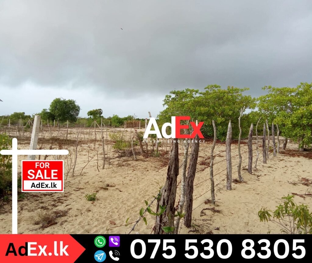 Land for Sale in Koralankeni Batticaloa