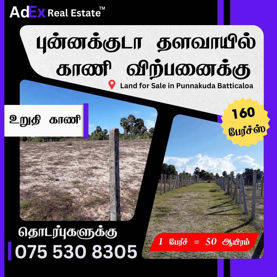 Land for Sale in Punnakuda Thalavai Batticaloa