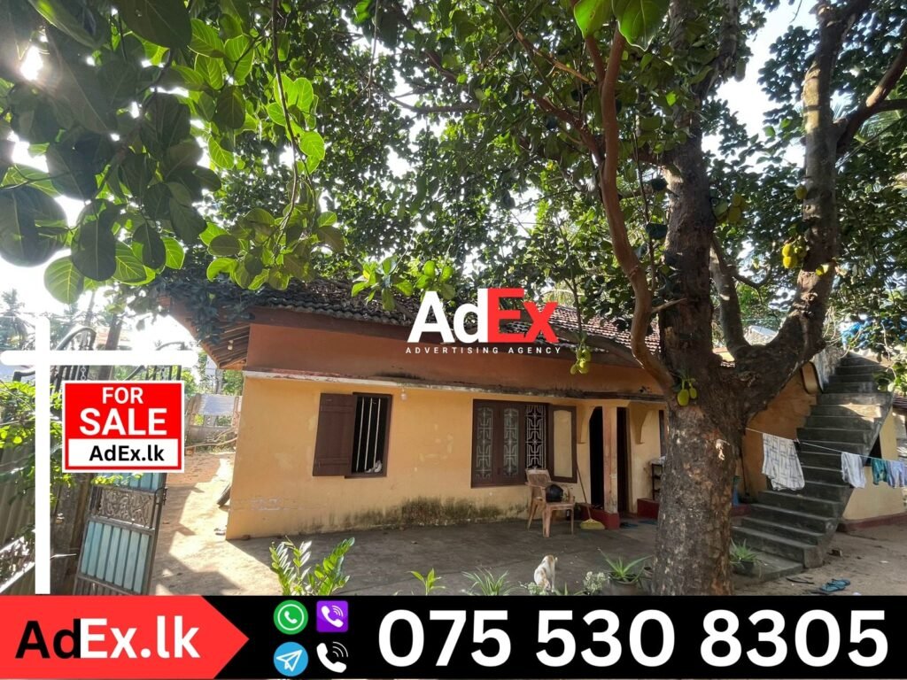 Palameenmadu House Sale