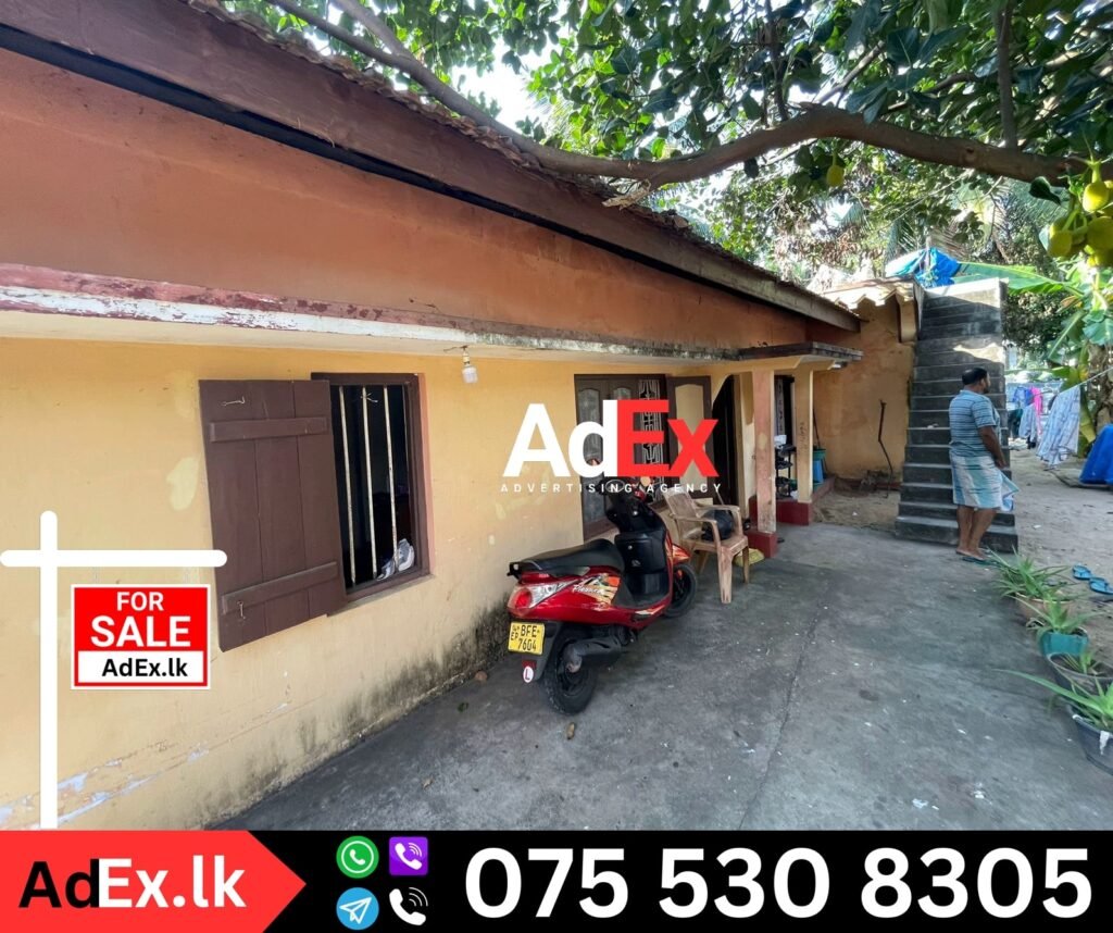 Palameenmadu House for Sale