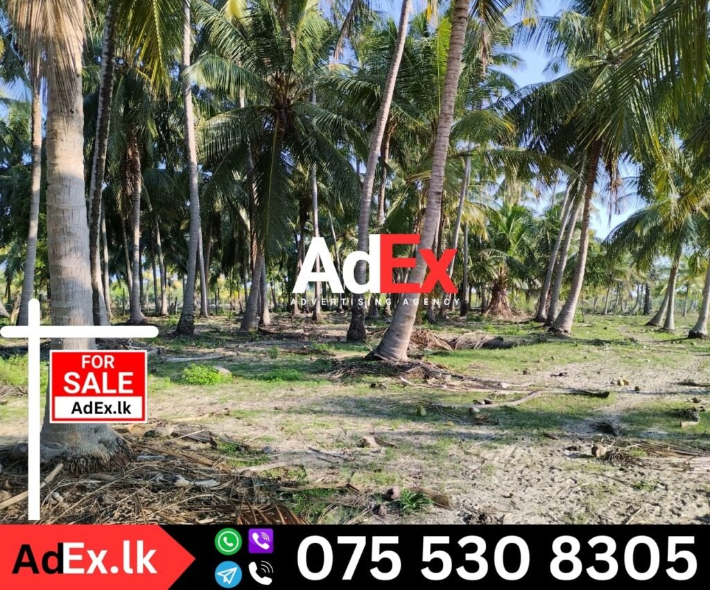 Thirukkovil Farm Land Sale