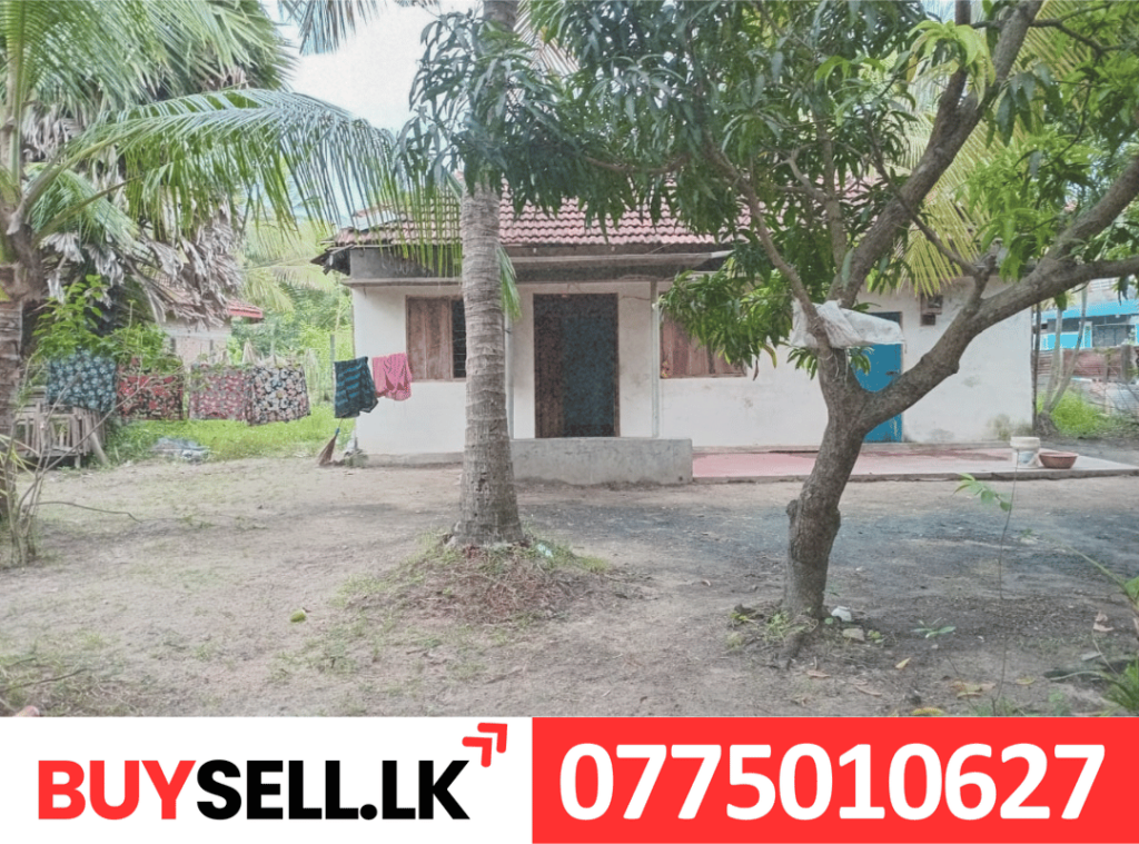 Land for Sale in Thimilathivu