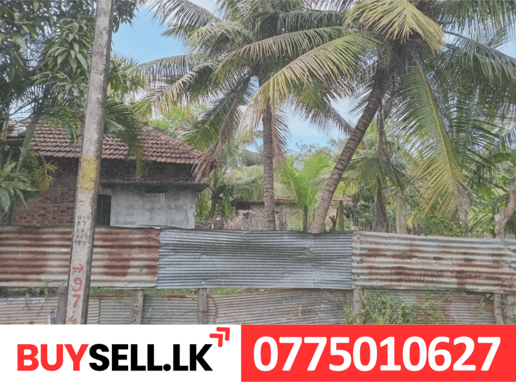 Thimilathivu Land Sale