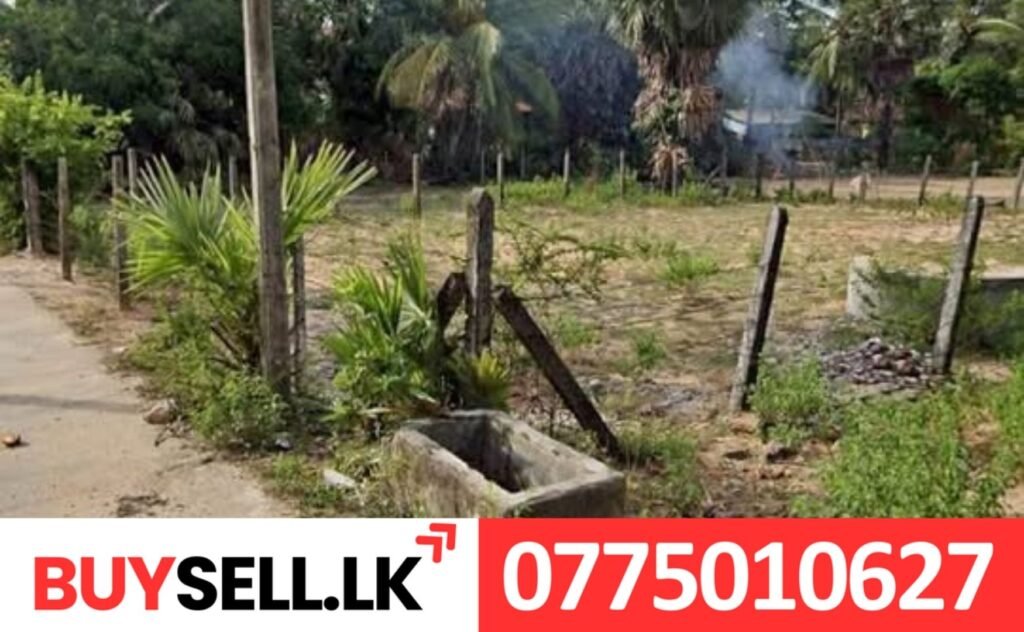 Amirdhakali Land for Sale in Batticaloa
