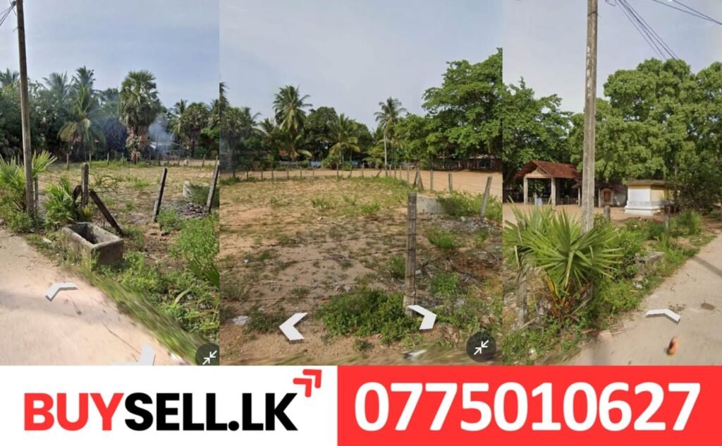 Amirthakali Land for Sale