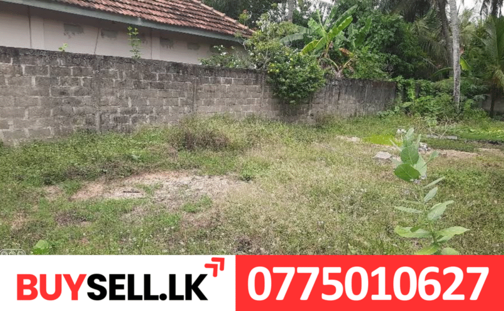 Land for Sale in Kaluthaavalai Batticaloa
