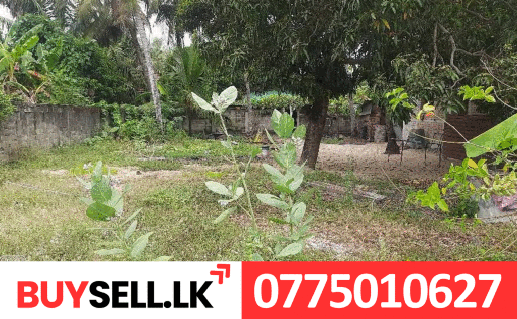 Land for Sale in Kaluthawalai Batticaloa