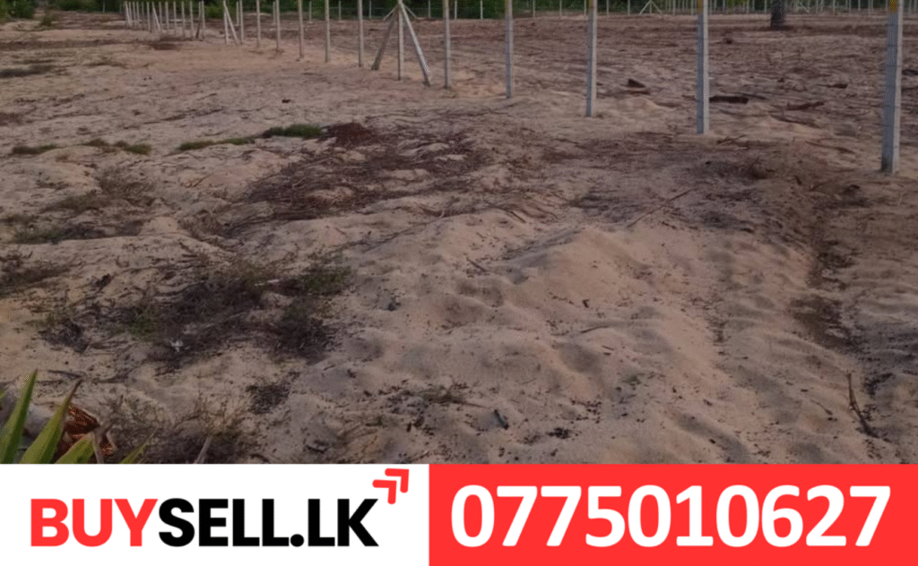 1acer Land for Sale in Mailambavely
