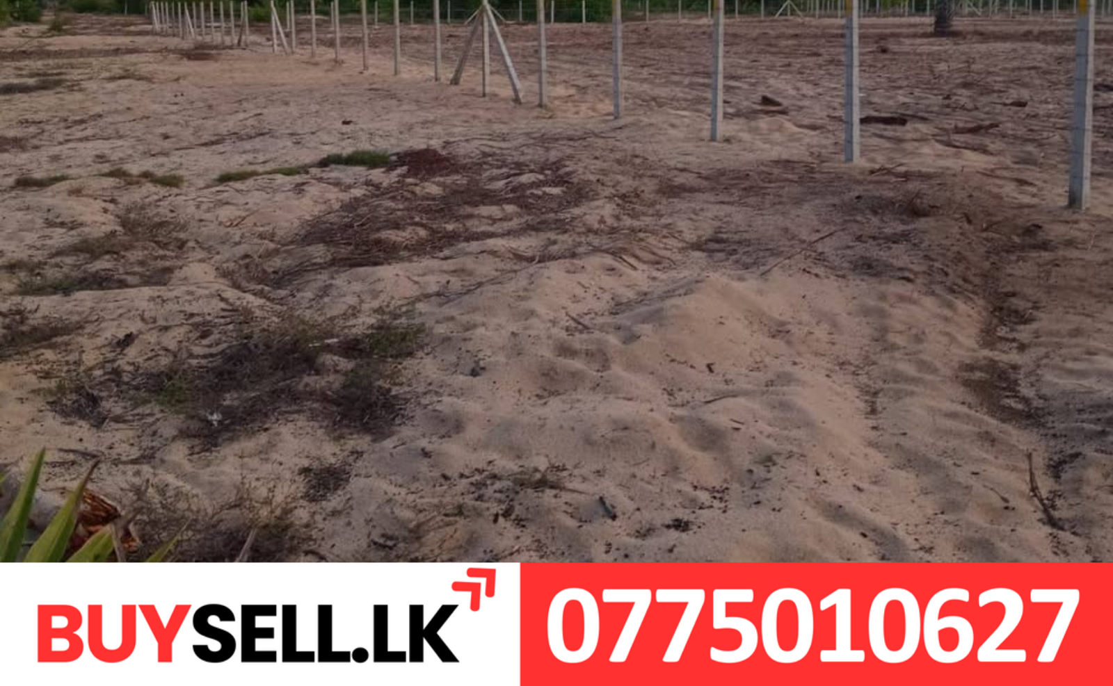 1acer Land for Sale in Mailambavely