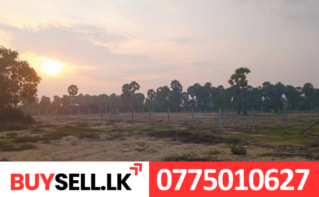1acer Land for Sale in Mailampaveli