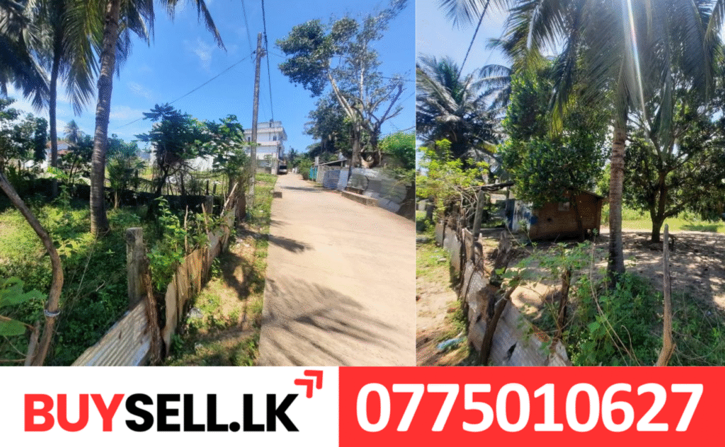 Chenkaladi Land for Sale in opposite Eravur Pillayar Temple
