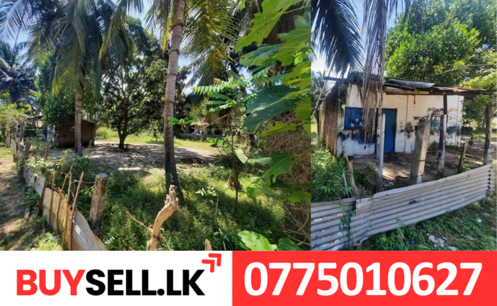 Chenkalady Land for Sale with Small Building