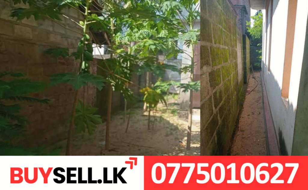 House for Sale Ninthavur 17