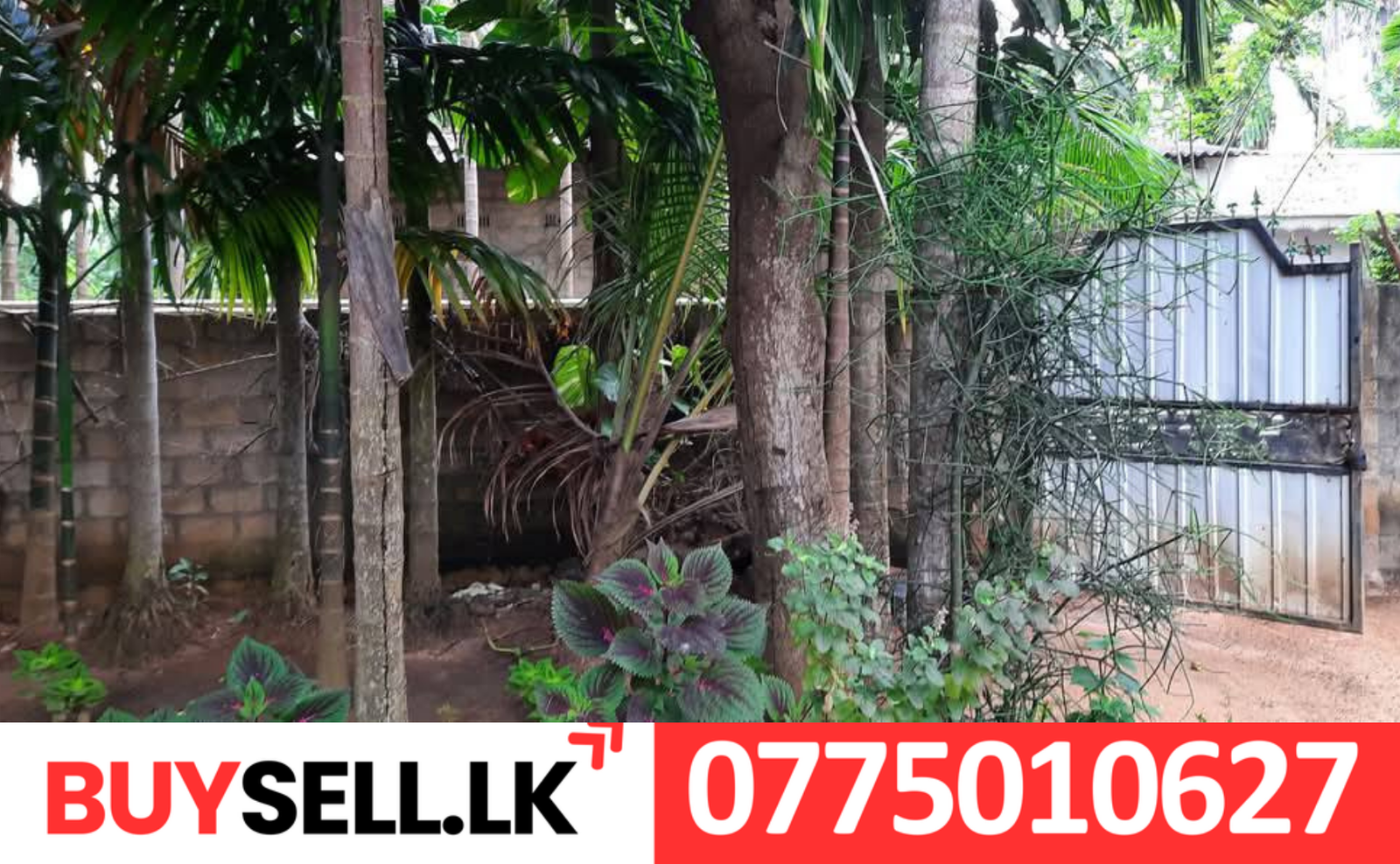 House for Sale - Point Pedro