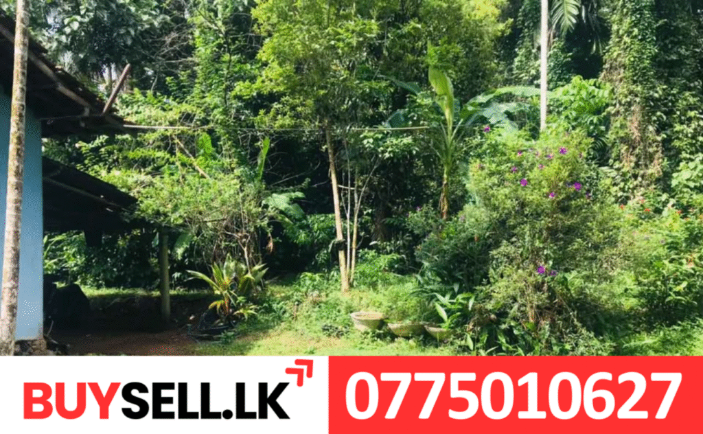 House for Sale near to Nittambuwa