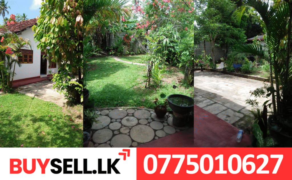 Land and House for Sale in Matara 500m to Mirissa Beach