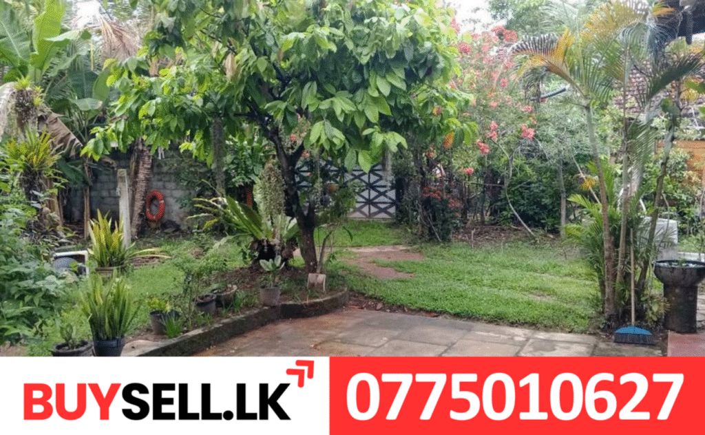 Land and House for Sale in Matara Mirissa