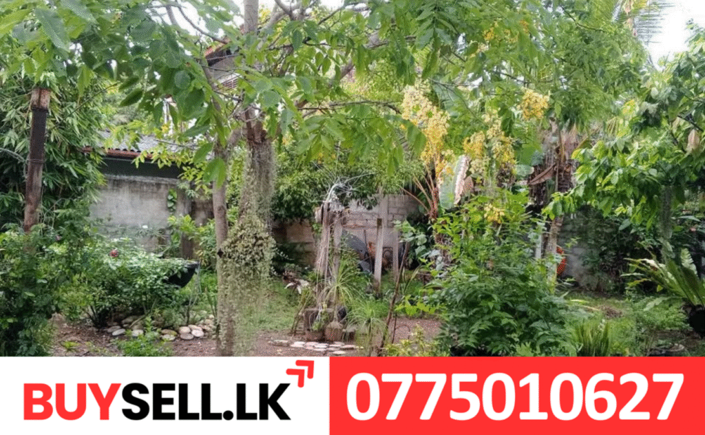 Land and House for Sale in Mirissa Matara