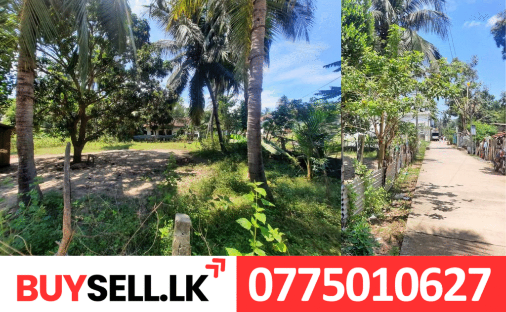 Land for Sale in Chenkalady