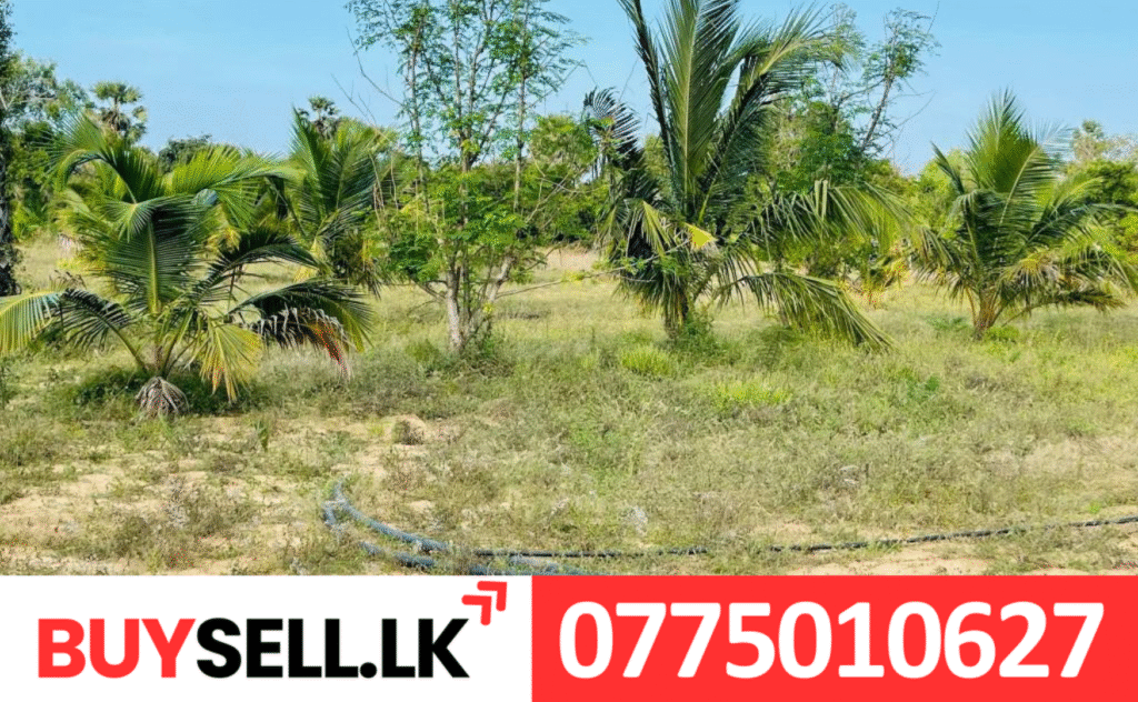 Land for Sale in Iyakachchi near to Mandalay Pillayar kovil