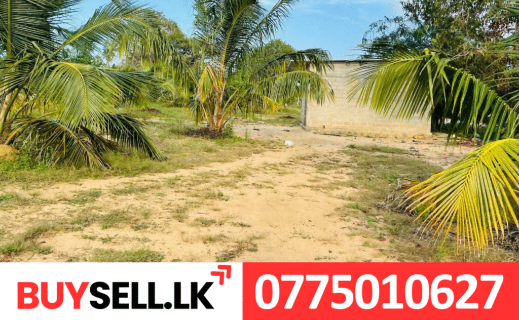 Land for Sale in Iyakachchi near to Vetrilaikeni road
