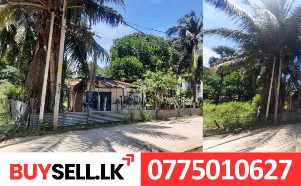 Land for Sale in Thombudor Road Chenkalady