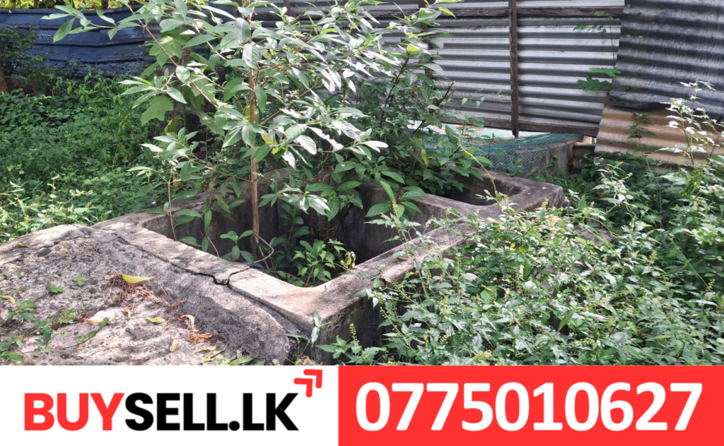 Land for Sale in Jaffna Porpathi Road