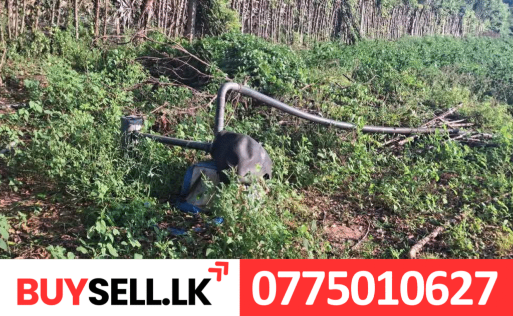 Land for Sale in Keerimalai karukambanai area