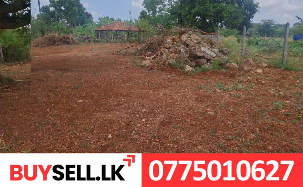 Land for Sale in Maviddapuram Tellippalai