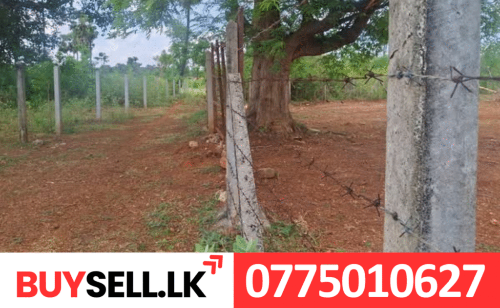 Land for Sale in Mavitapuram
