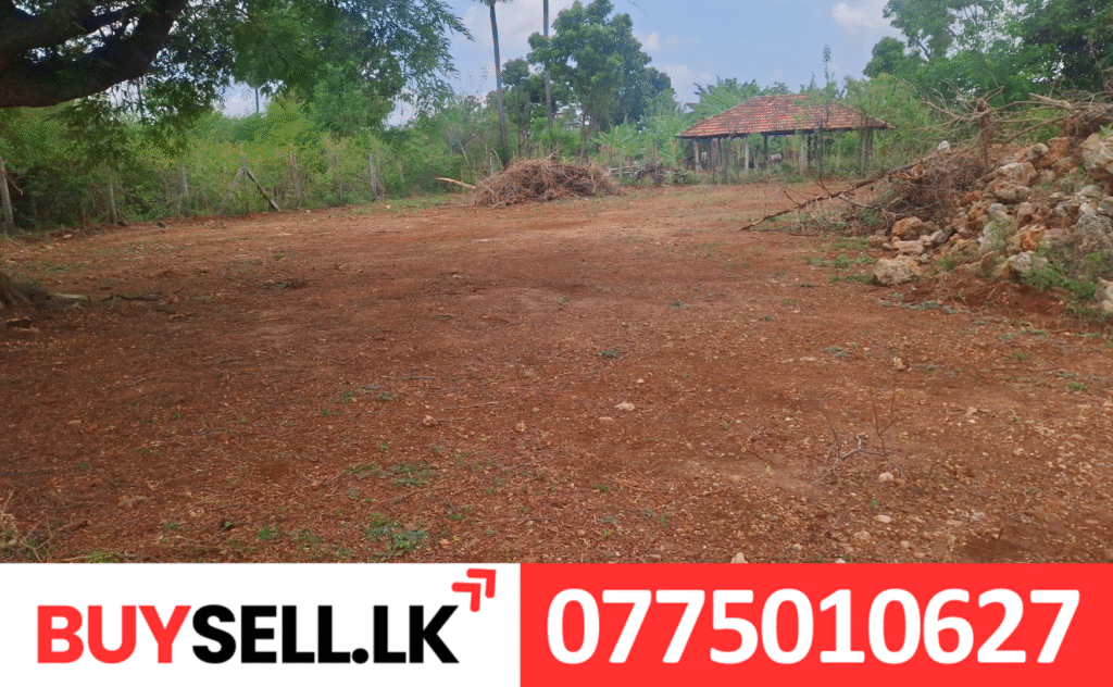 Land for Sale in Mavitapuram near to Veemankamam Maha Vidyalayam