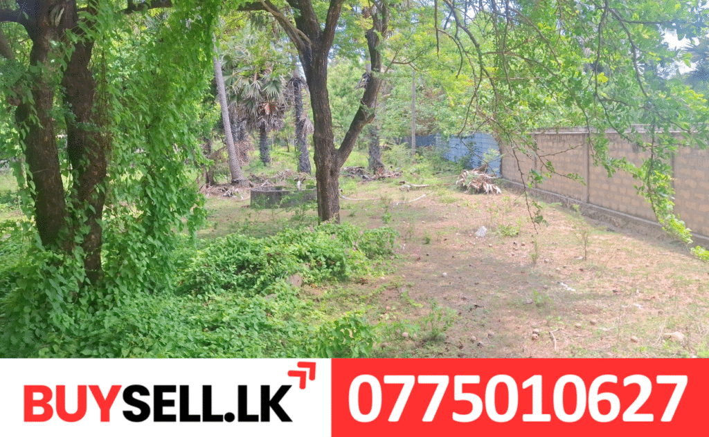 Land for Sale in Navatkuli Junction to Mannar Road