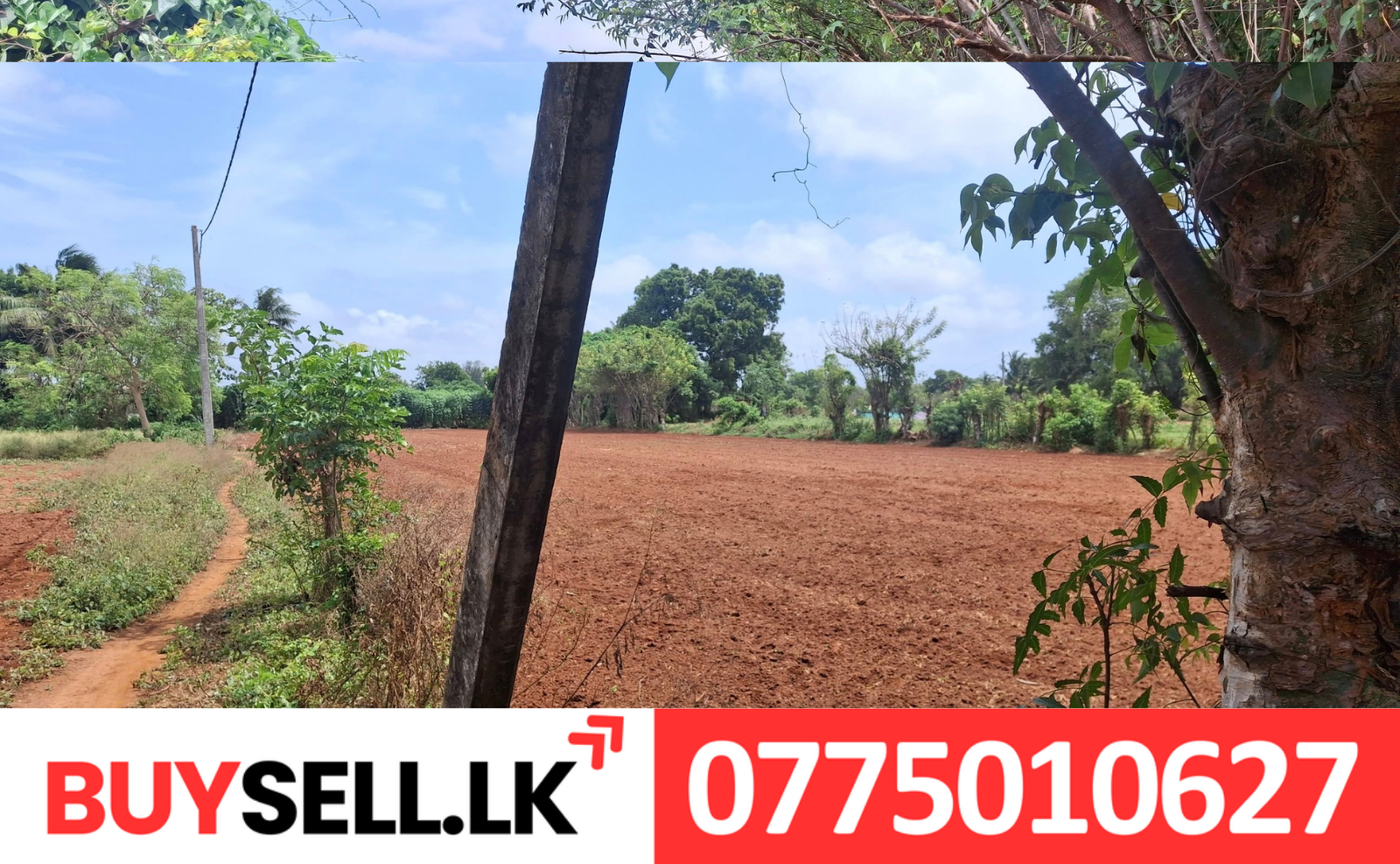 Land for Sale in Thirunelveli